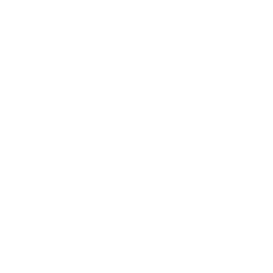 Paiz logo